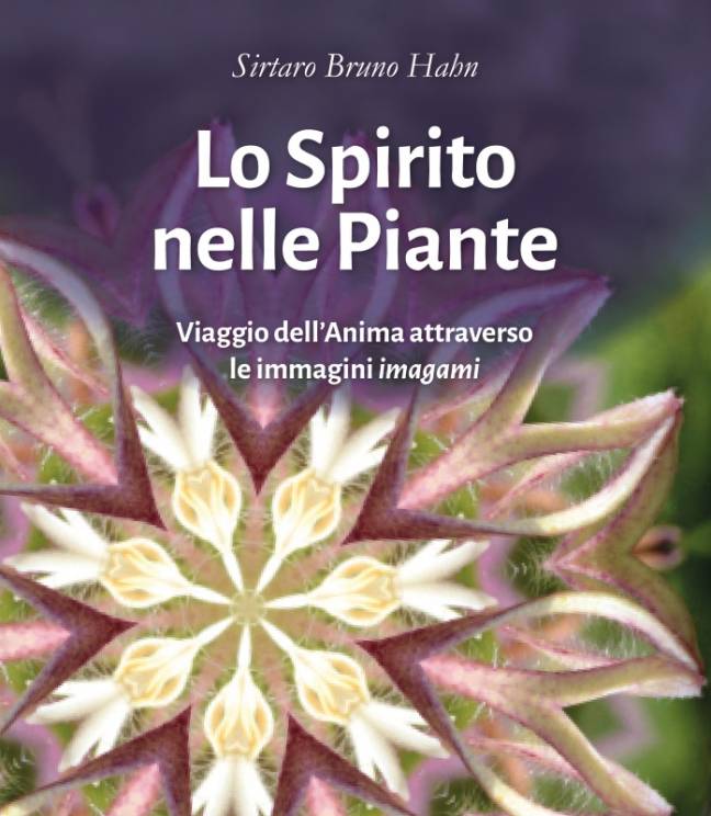 LO SPIRITO NELLE PIANTE
