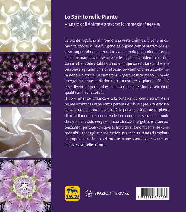 LO SPIRITO NELLE PIANTE - immagine 2