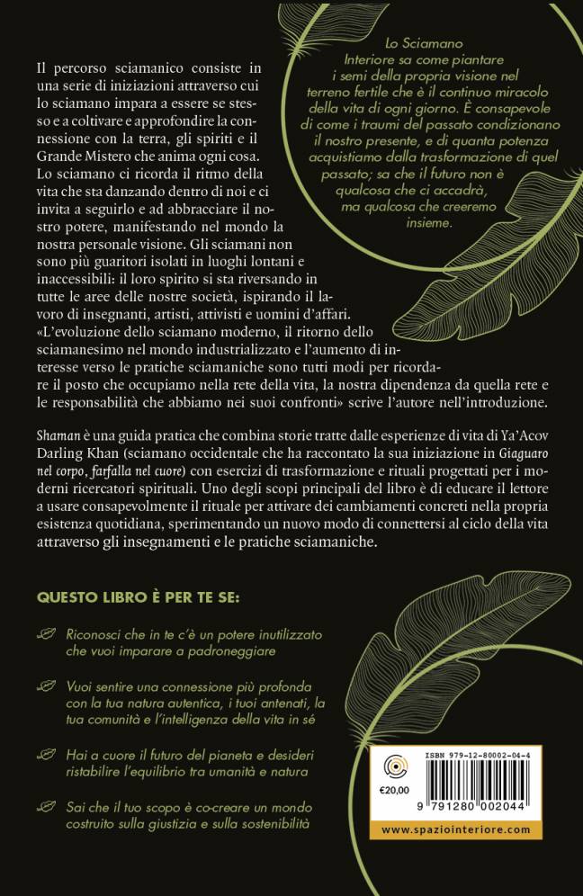 SHAMAN - immagine 2