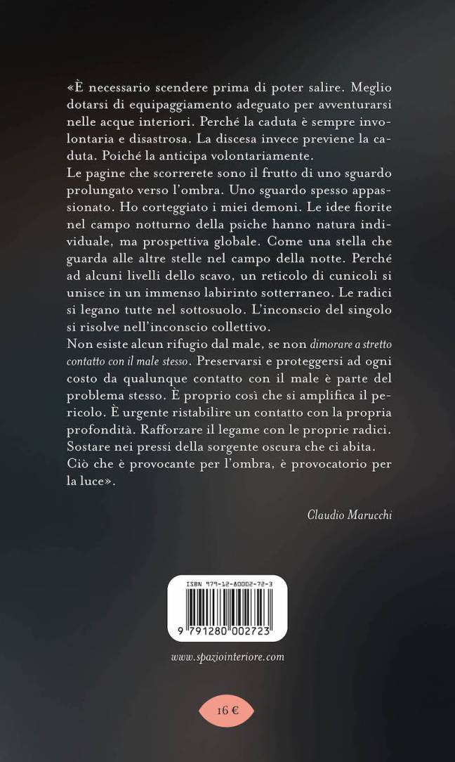 SCAVANDO NELL'OMBRA - immagine 2
