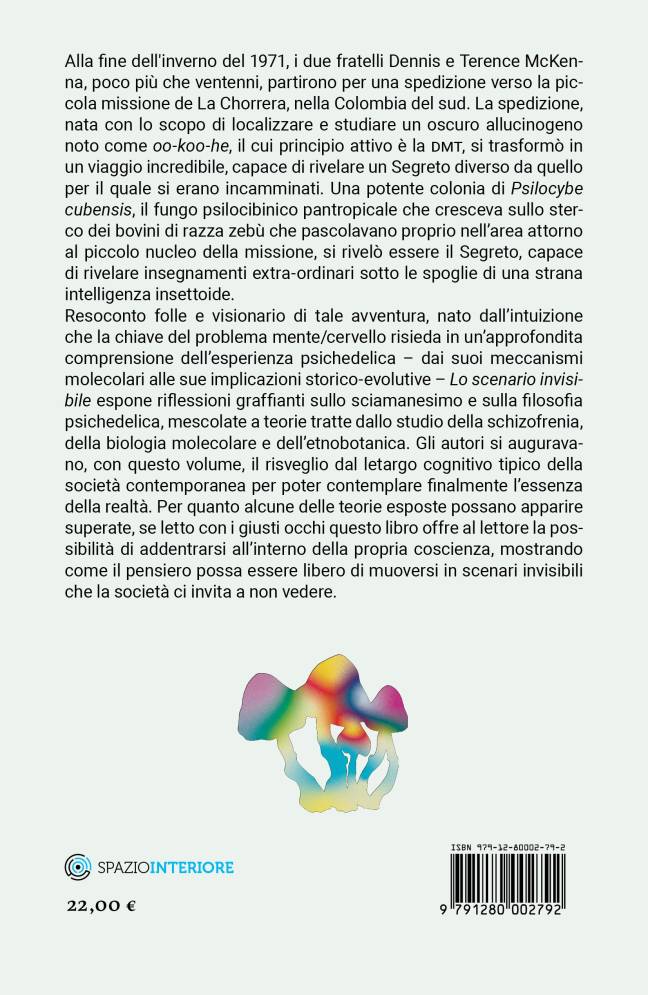LO SCENARIO INVISIBILE - immagine 2