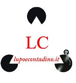 Lupo e contadino